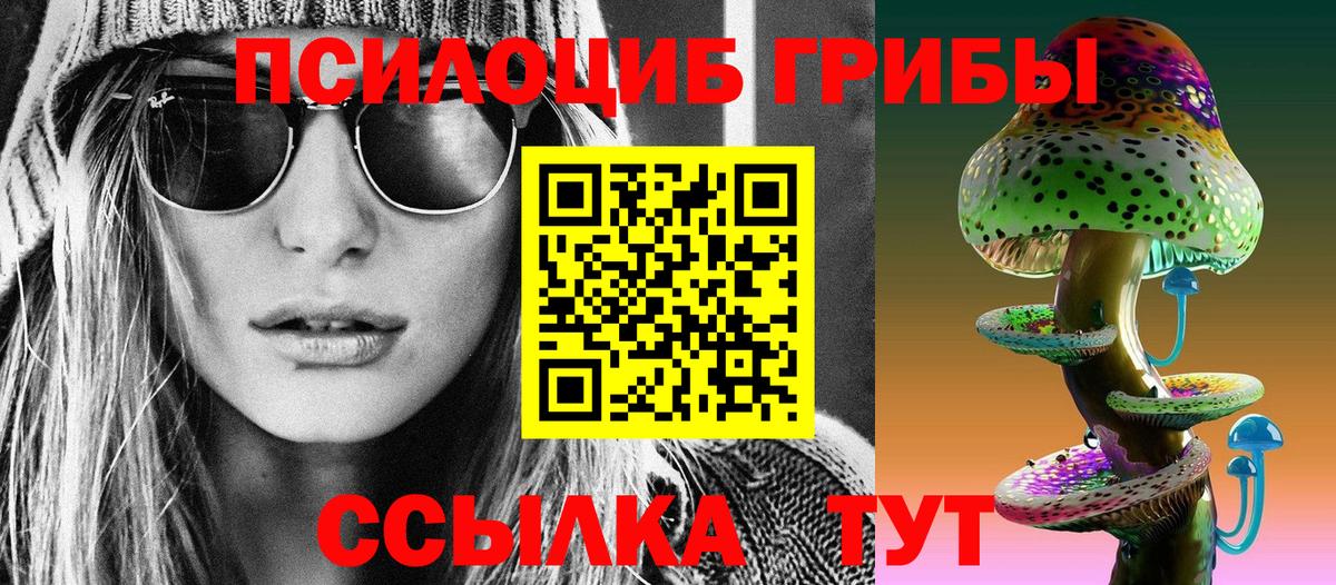 Псилоцибиновые грибы мицелий Александров