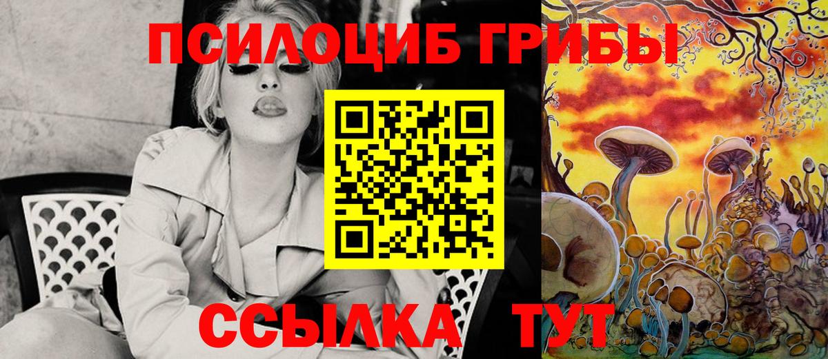 Псилоцибиновые грибы Magic Shrooms  Вход с VPN  Александров  Псилоцибиновые грибы мицелий 